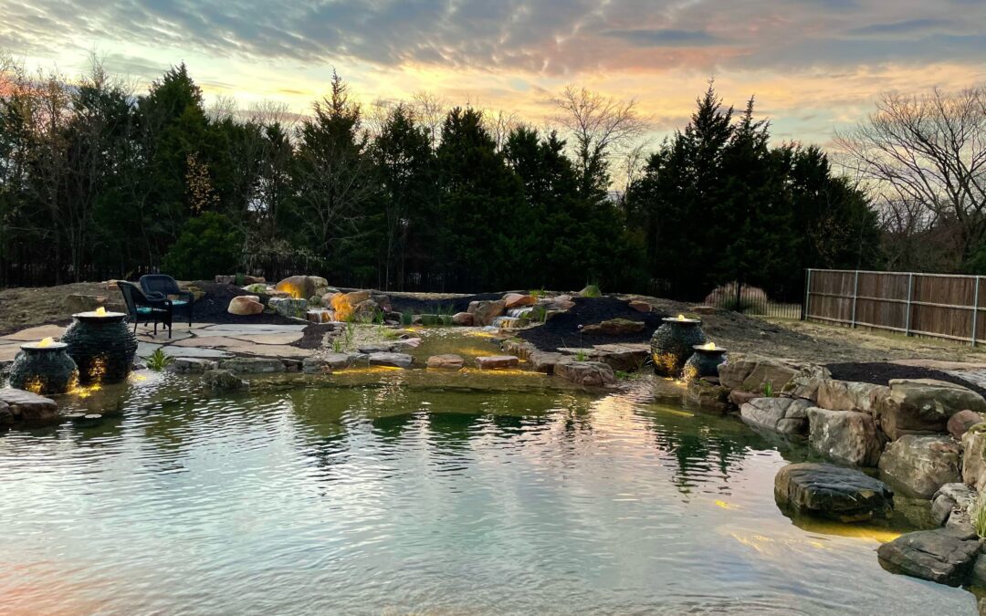 Top Reasons Blanco, TX Homeowners Are Choosing Natural Swimming Pools