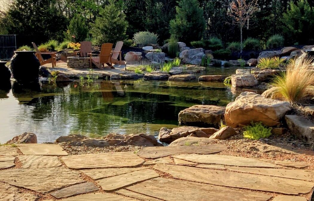 Why Fredericksburg, Texas Is Perfect for a Natural Swimming Pool