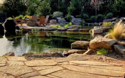 Why Fredericksburg, Texas Is Perfect for a Natural Swimming Pool