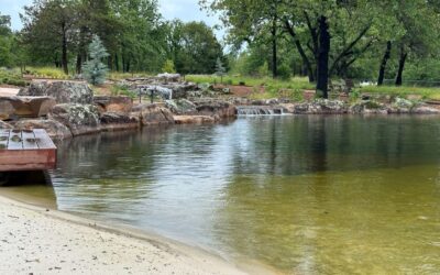 The Cost of Building a Natural Swimming Pool in Fredericksburg or Blanco, TX