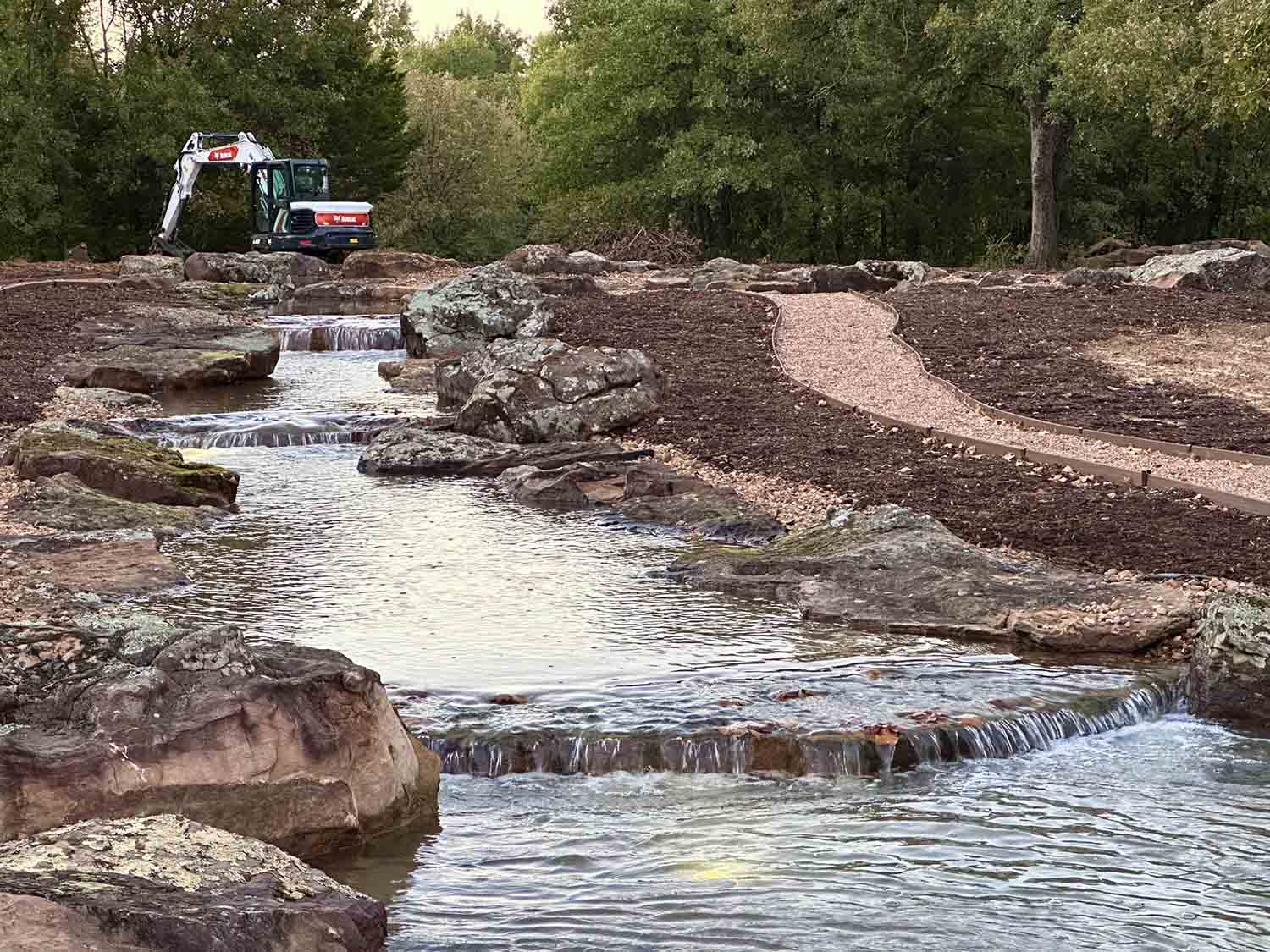 natural swim pond cost