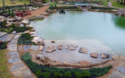 What Are The Components of a Natural Swim Pond?