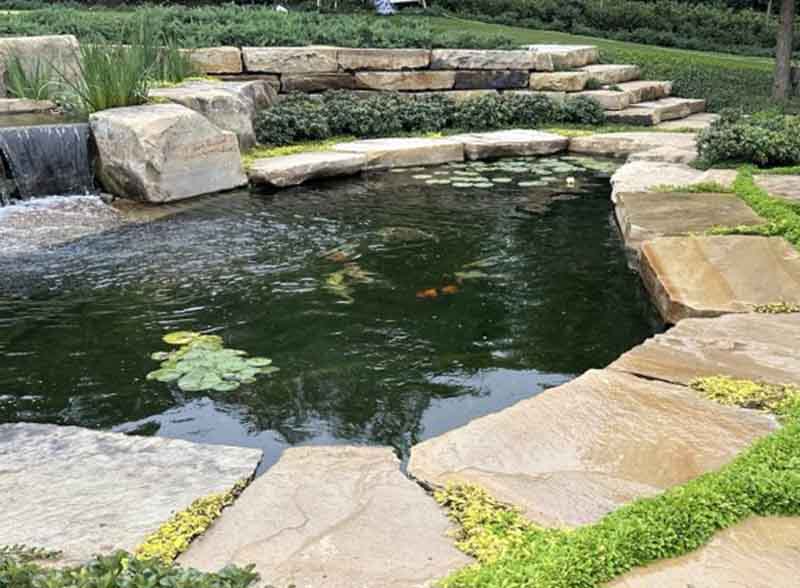 Serene Sanctuary price