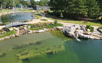 Natural Swim Pond Cost: A Detailed Guide to Budgeting Your Custom Installation