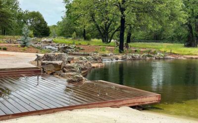 From Dream to Dive: The Complete Natural Swim Pond Installation Process