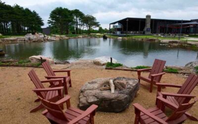 How to Design a Natural Swimming Pool for the Texas Hill Country Climate