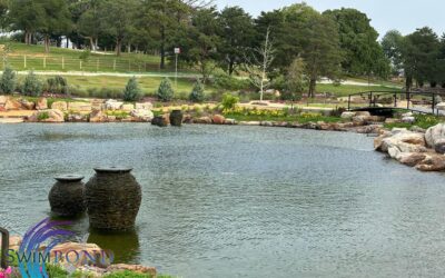 What Is the Process for Installing a Natural Swimming Pool in the Houston, Texas Area?